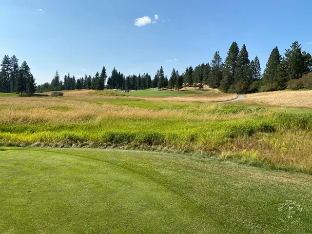 A golfer on a tee at Circling Raven, with the forest and fairway ahead.