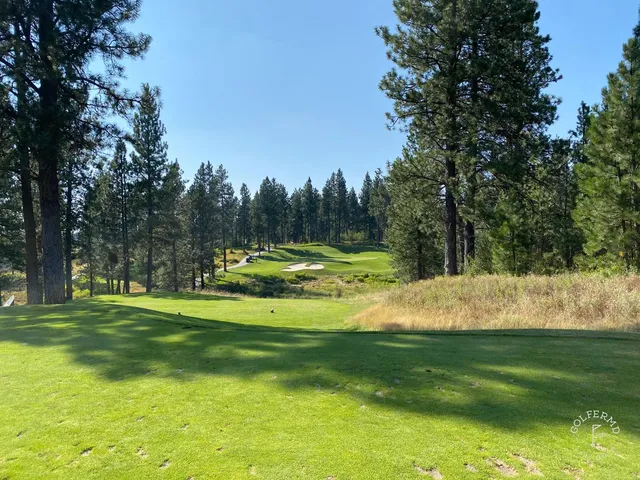 A golfer chipping at Circling Raven, with the green and flagstick ahead.