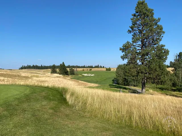 A wide view at Circling Raven, with several pines standing in the fairway rough.