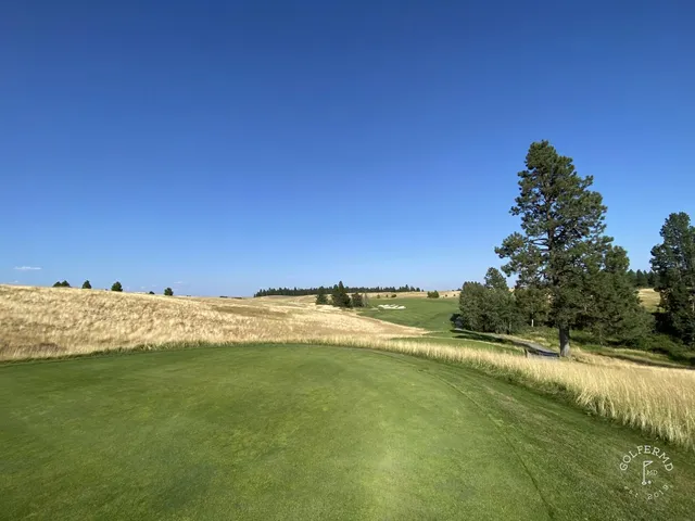 A green and flagstick at Circling Raven, with a bunker on the left of the green.