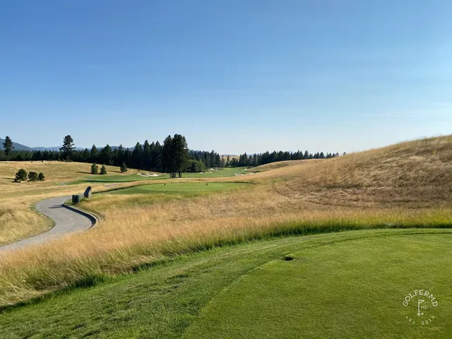 A fairway at Circling Raven running straight through the pine forest.