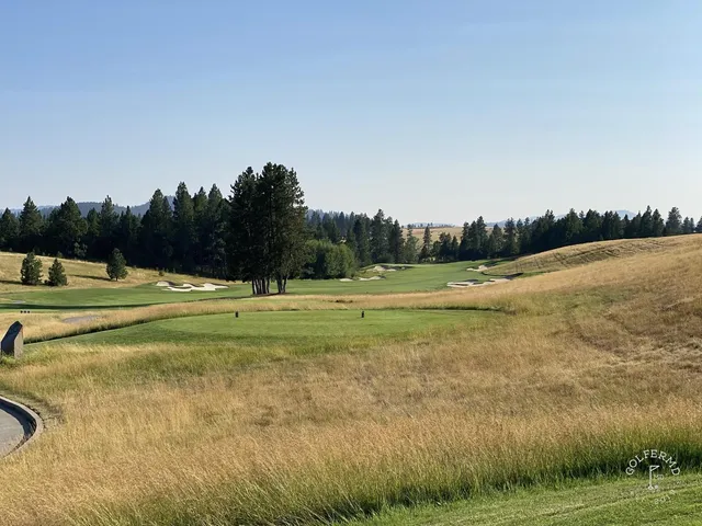 Golfers riding along a hole at Circling Raven, with trees on both sides.