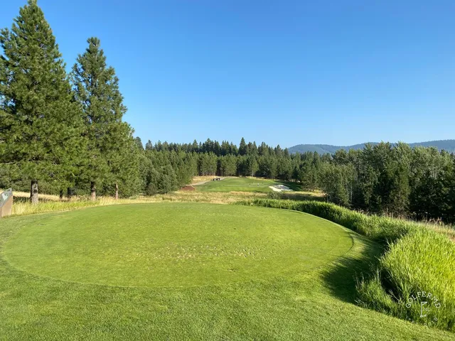 A green and flagstick at Circling Raven, with the afternoon light on the pines.