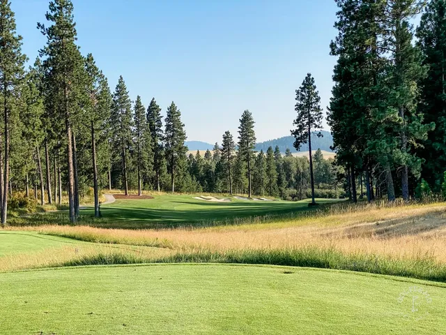 A close view of a flagstick at Circling Raven, with forest behind the green.