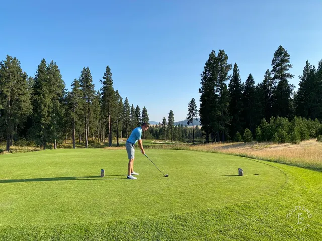A golfer hitting a shot from the rough at Circling Raven, with pines nearby.