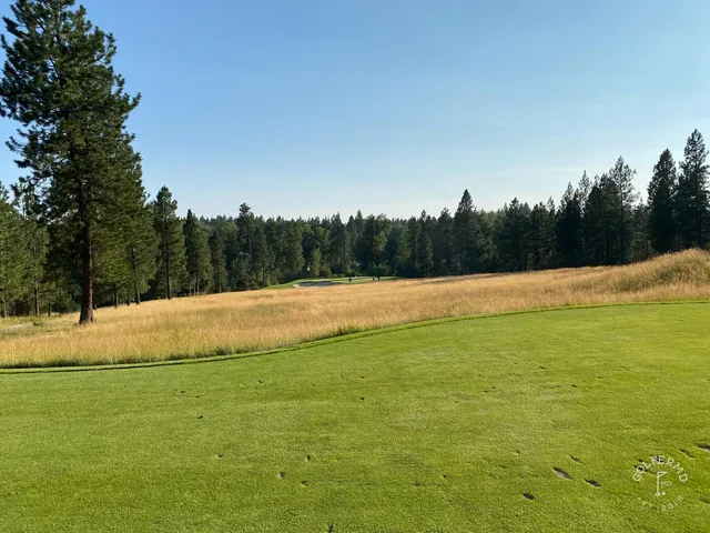 A fairway at Circling Raven bending left through the forest.