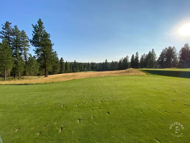 A group of golfers on a tee at Circling Raven, with the hole stretching ahead.