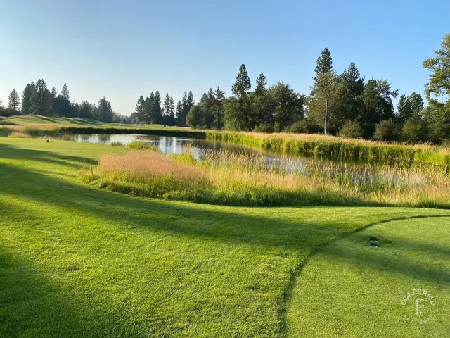 A green and flagstick at Circling Raven, with pines crowding the back of the green.