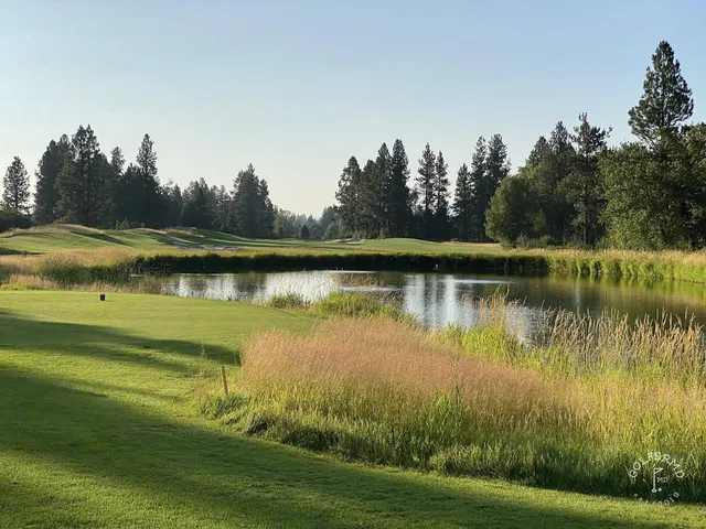 A wide view down a hole at Circling Raven, with sand and forest along the edges.