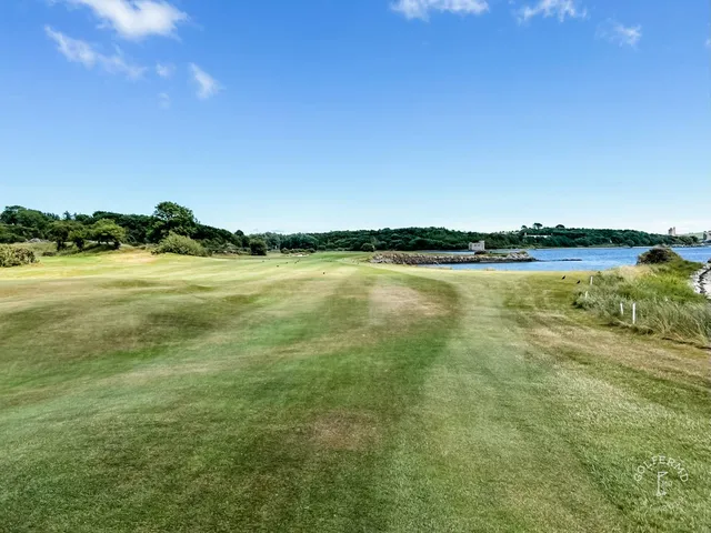 A golfer hitting a shot at Cork Golf Club, with the fairway ahead.