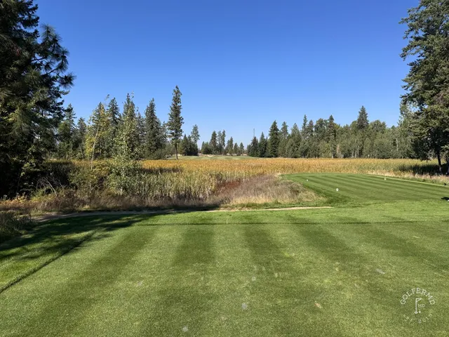 A golfer hitting a shot at Gozzer Ranch, with pines and the lake ahead.
