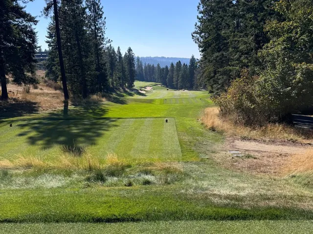 A fairway at Gozzer Ranch lined with pine trees, running toward the water.