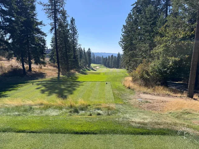 A green and flagstick at Gozzer Ranch, seen from a rise, with the lake beyond.