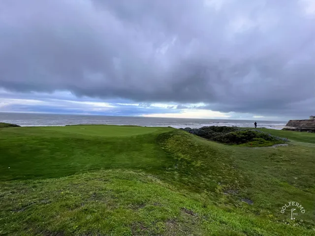 A fairway running toward the ocean at Half Moon Bay Golf Links Ocean Course, with a cypress tree along the hole.