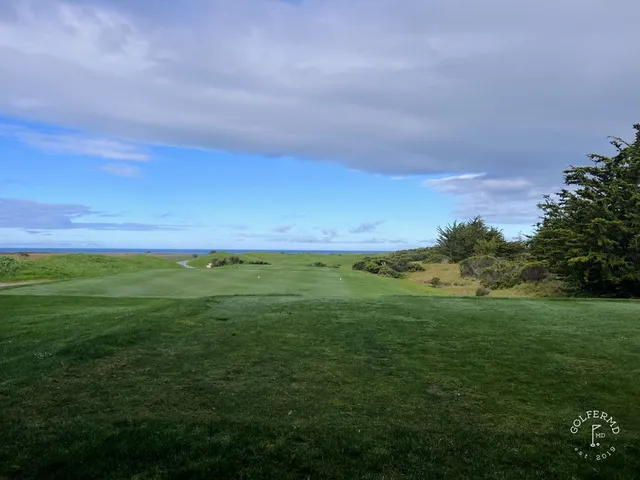 A green and flagstick above the ocean at Half Moon Bay Golf Links Ocean Course, with a cypress tree beside the hole.
