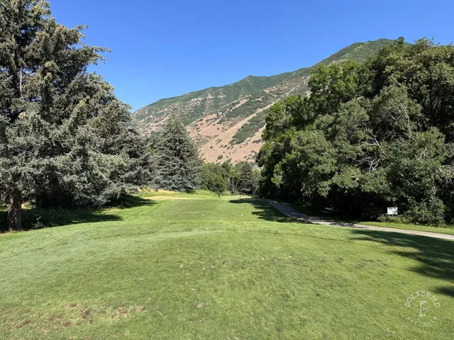 A wide view at Hobble Creek, the hole framed by trees with the mountains under a blue sky.