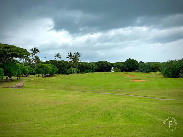 A wide hole at Hōkūala, with sand, palm trees, and the ocean in the distance.