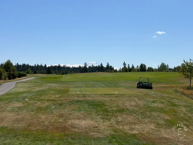 A green and flagstick at The Home Course, with a bunker in front and trees behind.