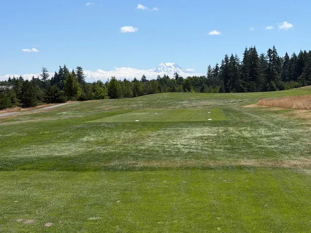 Golfers on a tee at The Home Course, with the trees behind them.