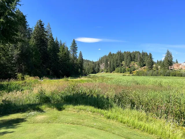 A fairway at The Idaho Club lined with pine trees, running toward the water.