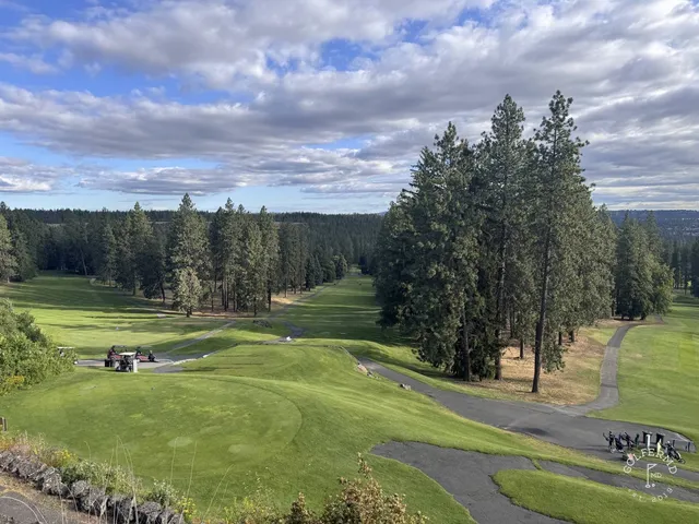 A wide view at Indian Canyon, with the fairway dropping through the pines.