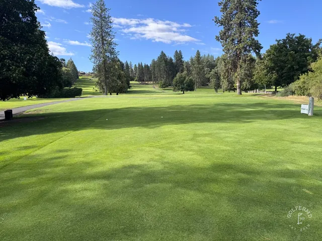A green and flagstick at Indian Canyon, seen from the fairway.