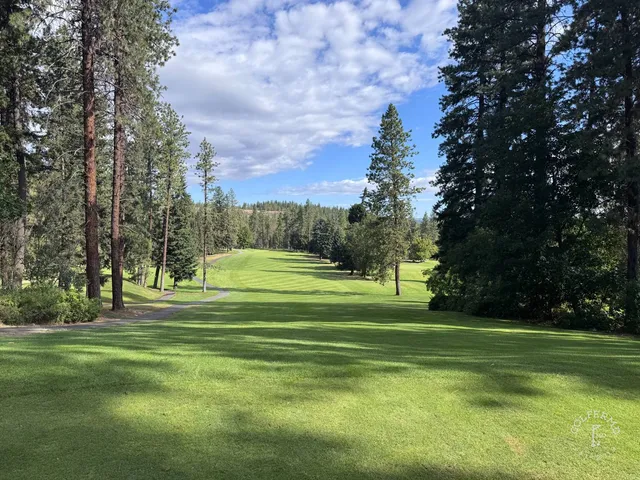 Golfers on a tee at Indian Canyon, with the pines behind them.
