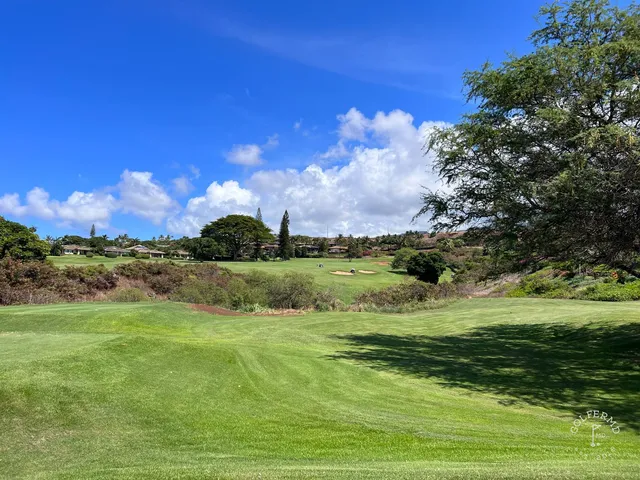 A fairway at the Kai Course lined with palm trees, running toward the water.