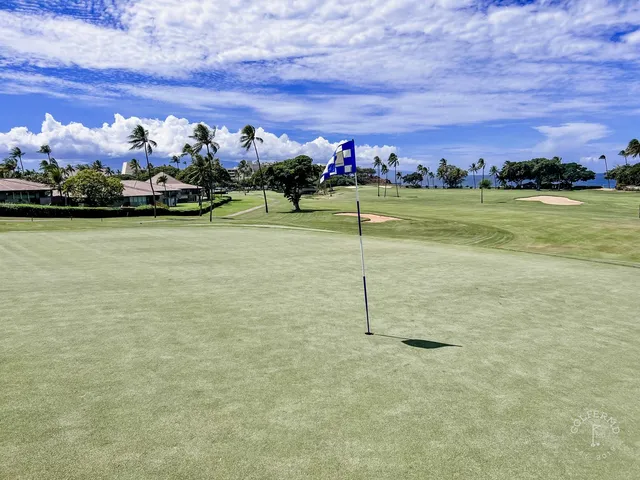 A golfer hitting a shot at the Royal Course, with palm trees and the water ahead.