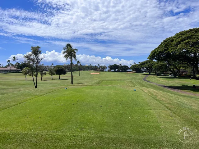 A fairway at the Royal Course lined with palm trees, running toward the water.
