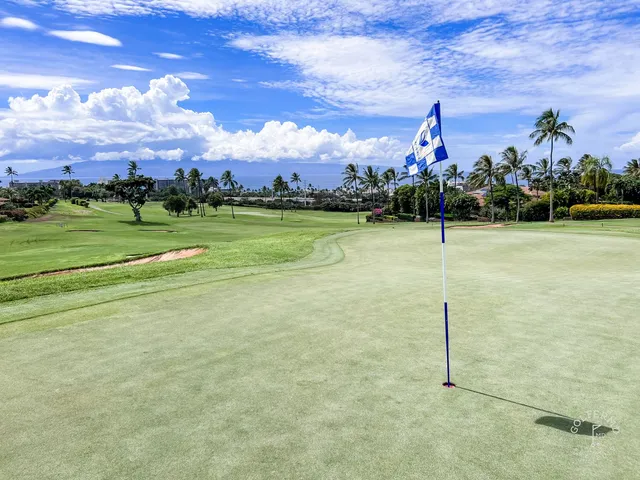 A golfer putting on a green at the Royal Course, with palm trees and the ocean behind the hole.