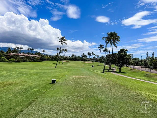 A fairway and green at the Royal Course, with palm trees beside the hole.