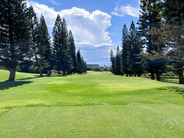 A close view of a green and flagstick at the Royal Course, with the Pacific behind the hole.