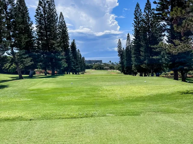 A fairway at the Royal Course with a sand bunker in the foreground and palm trees along the right.
