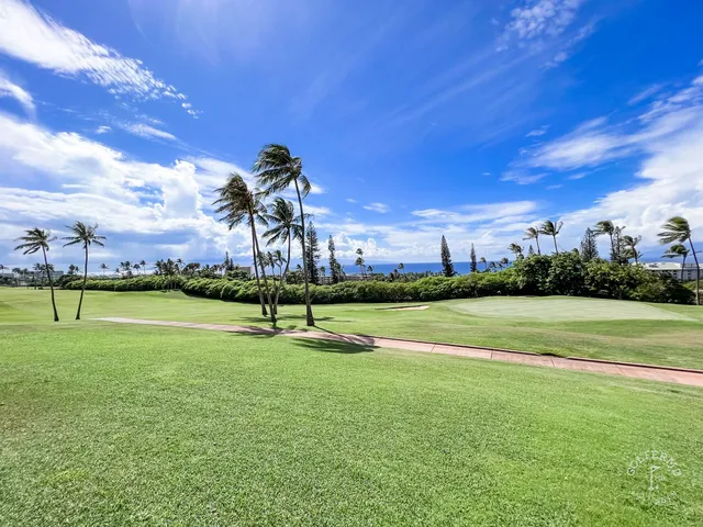 A wide hole at the Royal Course, with the coast and palm trees on the horizon.