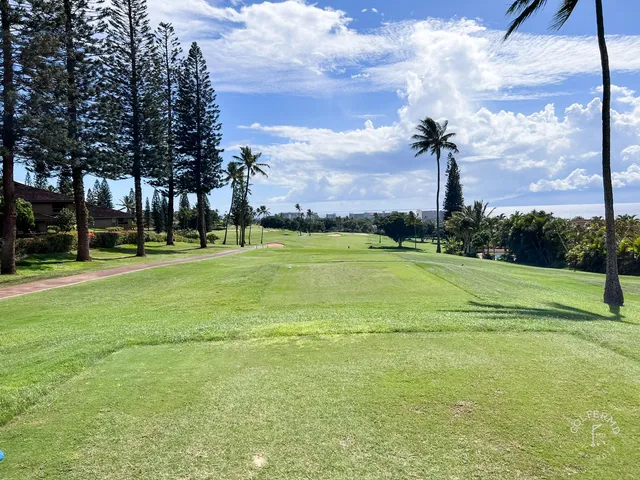 A fairway at the Royal Course running between palm trees toward the Pacific.