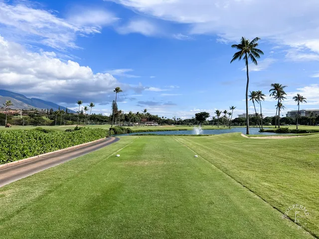 A close view of a flagstick at the Royal Course, with the Pacific and palm trees behind the green.