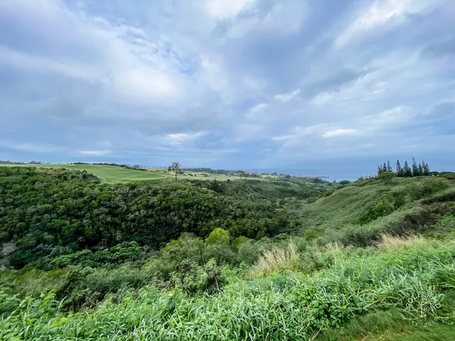 A green and flagstick at the Plantation Course, with sand and the Pacific around the hole.