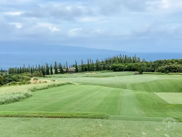 A fairway at the Plantation Course lined with trees, running toward the water.