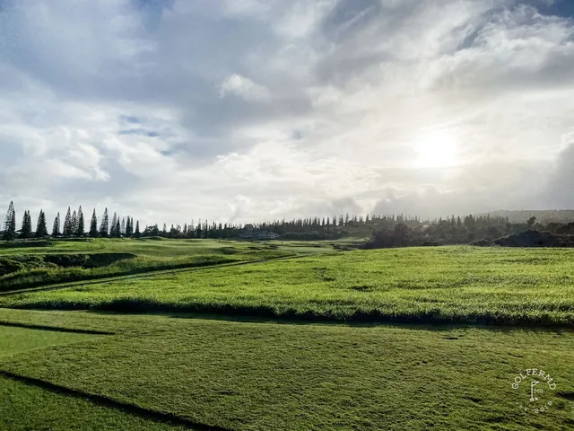 A green and flagstick at the Plantation Course, seen from a rise, with the ocean below.