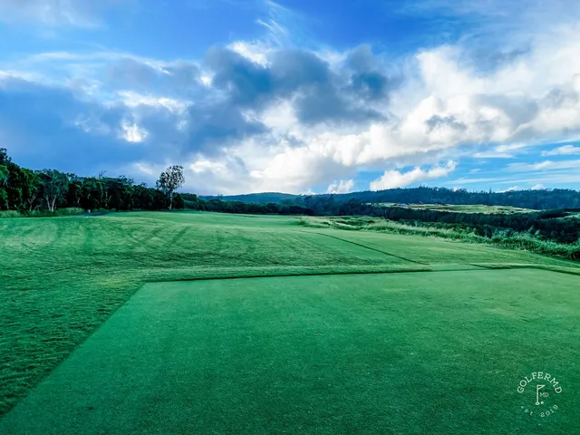 A close view of a green and flagstick at the Plantation Course, with the coast behind the hole.