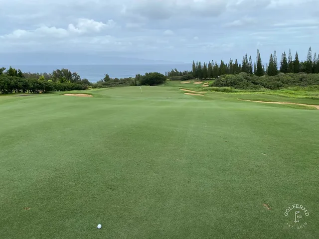 A group of golfers at the Plantation Course, with the ocean behind them.