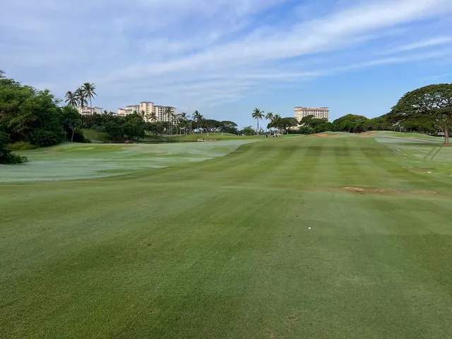 A group of golfers on a tee at Ko Olina, with the ocean and palm trees behind them.