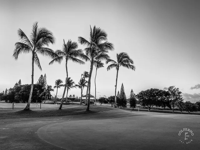 A fairway at Ko Olina running toward the ocean, with palm trees and a sand bunker along the edge.