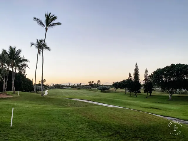 A golfer standing on a tee at Ko Olina, with the ocean and palm trees ahead.