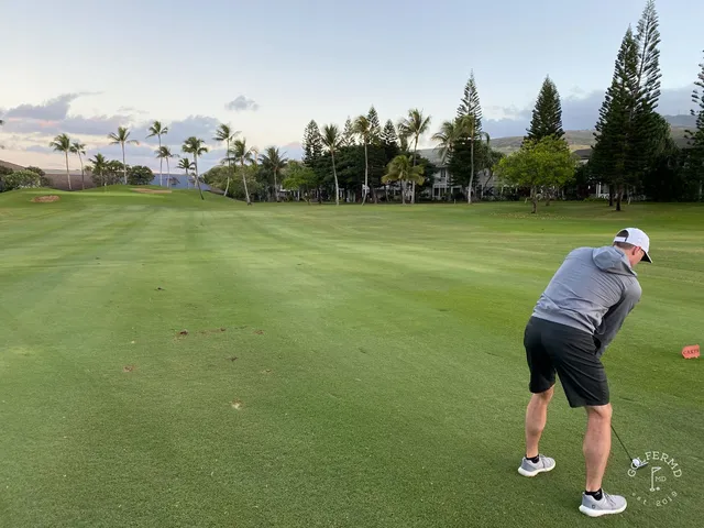 A fairway at Ko Olina lined with palm trees, running toward a green near the water.