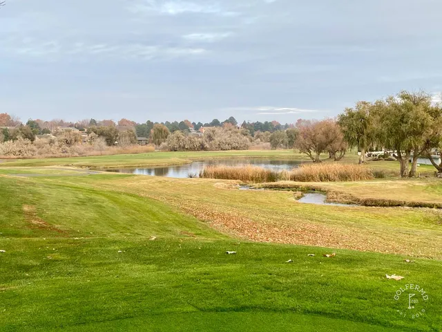 A green and flagstick at Meadow Springs, with a bunker in front.
