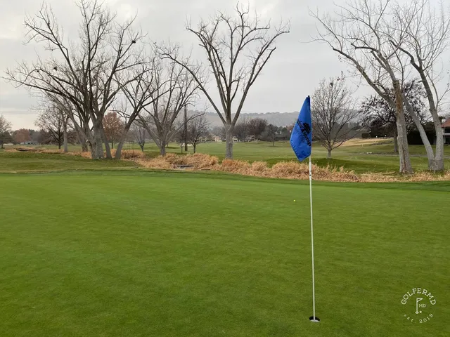 A wide view at Meadow Springs, with trees along the hole.