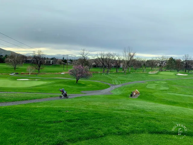 A green and flagstick at Meadow Springs, seen from the fairway.