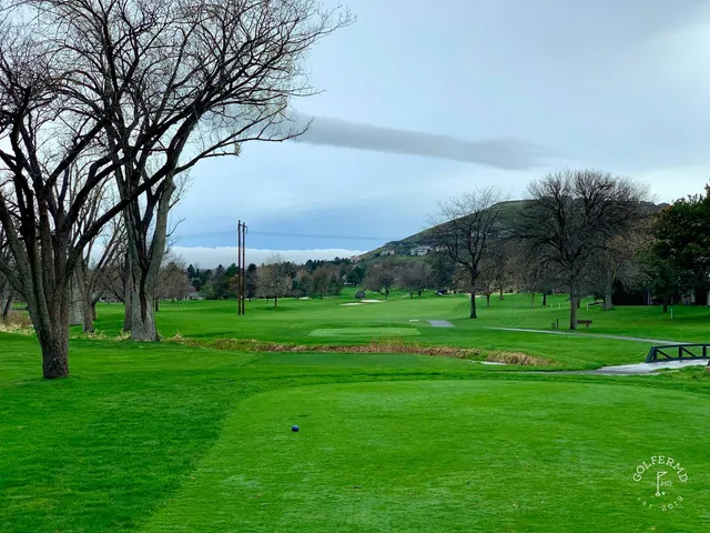 Golfers on a tee at Meadow Springs, with the course behind them.
